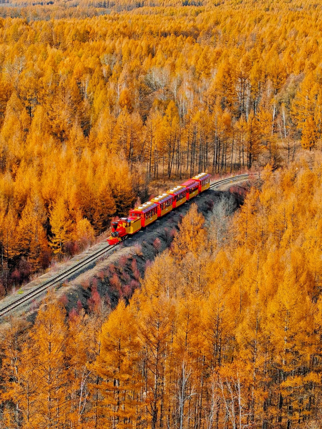 迄今为止‼国内最最最震撼的秋景出现了……_1_鲸鱼小小_来自52tours旅游攻略